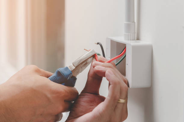 Best Surge Protection Installation  in Dayton, TN